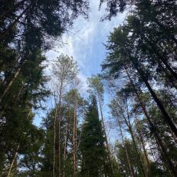 Фото Отель Барнхаус Сова