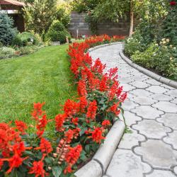 Фото Отель Азия (Asia)