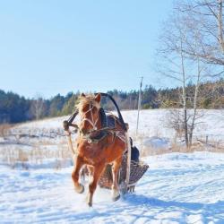 Фото Отель Тенгри