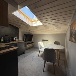 Номер студия (мансарда)