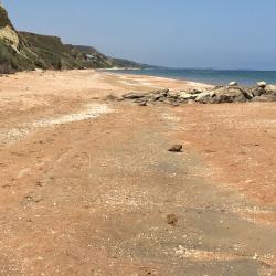 Фото Отель Сафари