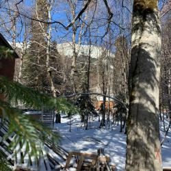 Фото Отель Горница