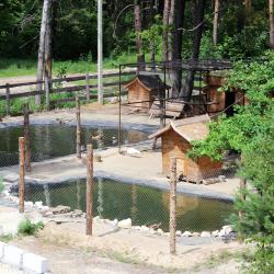 Фото Парк-Отель Березка