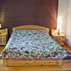 Фото Отель Большая Медведица