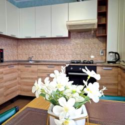 1-комнатные апартаменты студия Г.Чебаркуль, ул.Карпенко, д. 4в, кв.65 (мансарда)