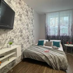 1-комнатные апартаменты стандарт