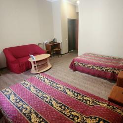 Номер люкс с 2 односпальными кроватями