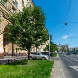 фото 6 Rental (РенталСПб) на проспекте Ленинский 178