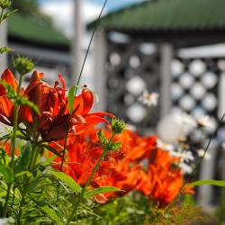 Фото Отель ВелТ