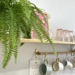 Фото Отель Happy Apartments на улице Советская 21