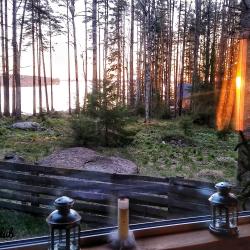 Фото Отель Black Fox (Блэк Фокс)