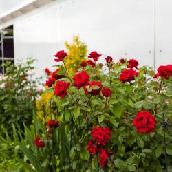 Фото Отель Тизори