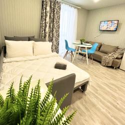 1-комнатные апартаменты студия