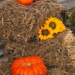 Фото Отель Усадьба