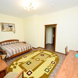 Номер стандарт бизнес с 1 односпальной кроватью