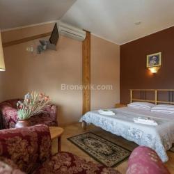 Фото Отель Родина