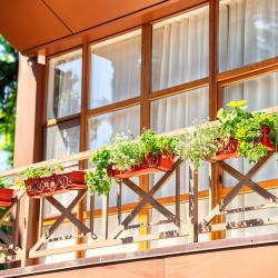 Фото Отель Грин Клаб (Green Club)