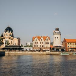 фото 29 LovelyHome 39 (ЛавлиХоум 39) на улице Парусная 31