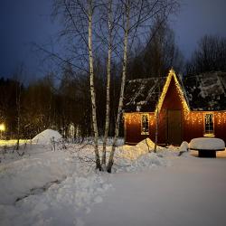 Фото Отель Скоково Парк