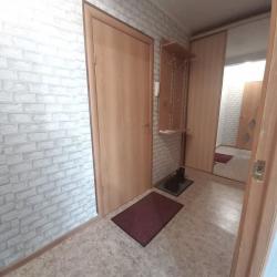 Фото Апартаменты на проспекте Мира 176