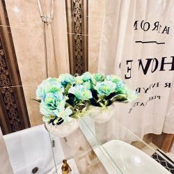 1-комнатные апартаменты стандарт Земнухова 3