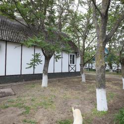 Фото Отель Оазис