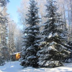 Фото Отель Шишки