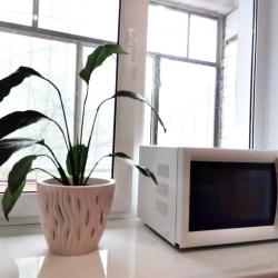 Фото Отель Sweet Home Apartments на улице Пушкина