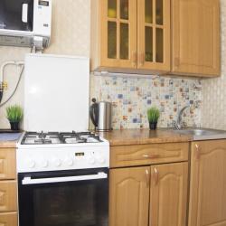 1-комнатные апартаменты эконом Южное шоссе 30 б с 1 двуспальной кроватью