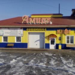 Фото Отель Амида