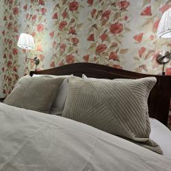 Фото Отель Шишкино-парк аэропорт Домодедово