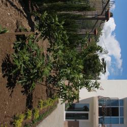 Фото Отель Авокадо