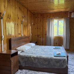 Номер стандарт семейный с 1 двуспальной кроватью