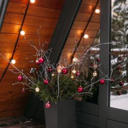 Фото Отель Хвойная хижина