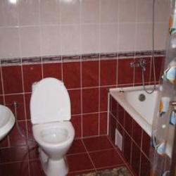 Фото Отель Родина