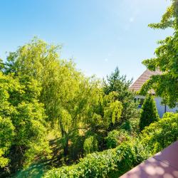 Фото Отель Гостевой дом На Каштановой