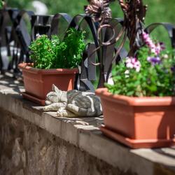 Фото Отель Гранд Флер