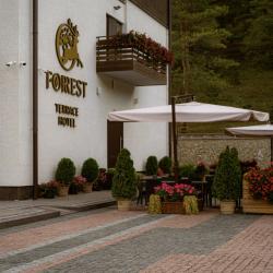 Фото Отель Forrest Terrace Hotel (Форрест Терасса)