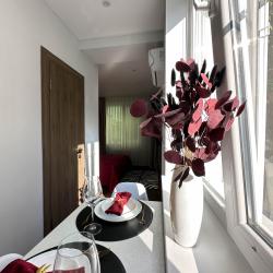 2-местные 1-комнатные апартаменты студия 18