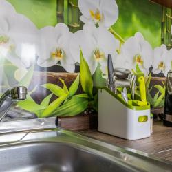 1-комнатные апартаменты студия №23