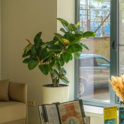 Фото Отель Энергетик