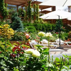 Фото Отель Аристократ