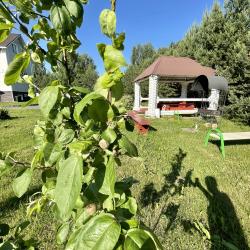 Фото Отель Гостевой дом Брейтово