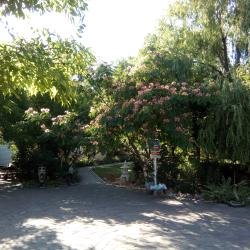 Фото Отель Пансионат Песчаный берег