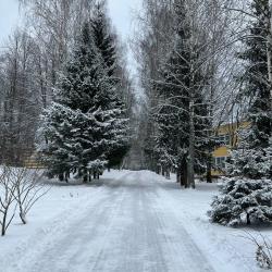 Фото Отель Изумруд