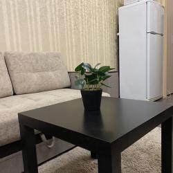 Фото Апартаменты на проспекте Ленина 132