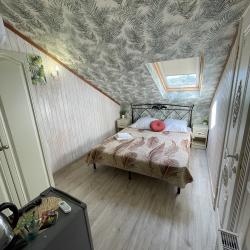 Номер стандарт с 1 двуспальной кроватью (мансарда)