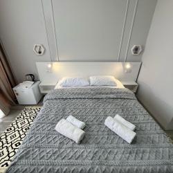 Комната люкс с 1 двуспальной кроватью