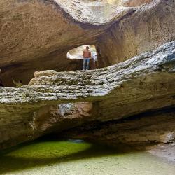 Фото Отель Родное гнездо