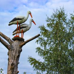 Фото Отель Коттедж на улице 5-я Ямская 12